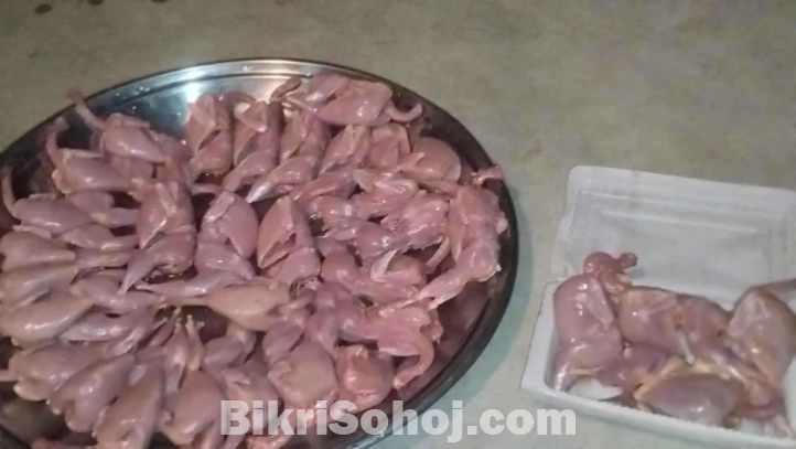 কোয়েল পাখির মাংস